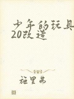 少年的玩具1一20改造