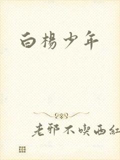 白杨少年