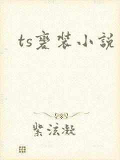 ts变装小说