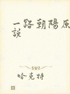 一路朝阳原著小说