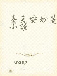 秦天安妙菱修仙小说