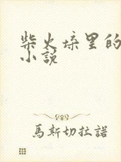 柴火垛里的疯狂小说