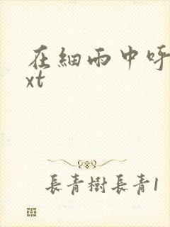 在细雨中呼喊txt