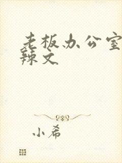 老板办公室系列辣文