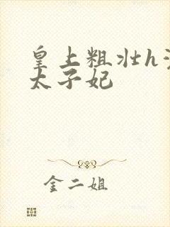 皇上粗壮h灌满太子妃