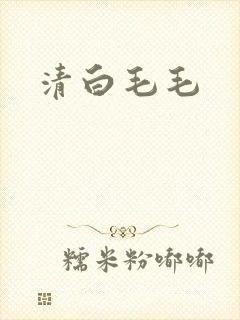 清白毛毛