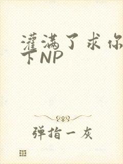 灌满了求你们停下NP