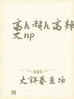 高h超h高辣h文np