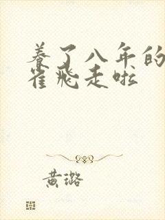 养了八年的金丝雀飞走啦