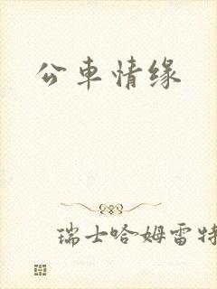 公车情缘