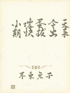 小坏蛋今天危险期快拔出来