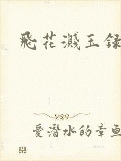 飞花溅玉录