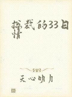 总裁的33日索情