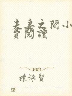 夫妻之间小说免费阅读