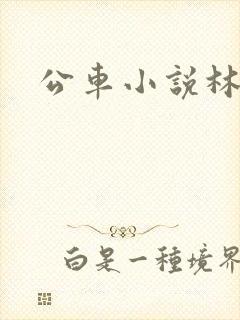 公车小说林蔓蔓