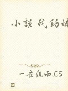 小说 我的娇妻