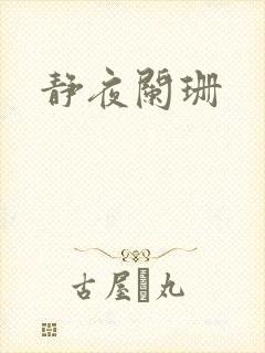 静夜阑珊