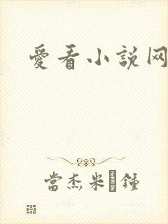 爱看小说网