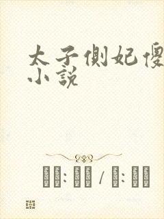 太子侧妃傻乎乎小说