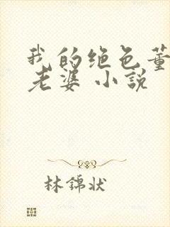 我的绝色董事长老婆 小说