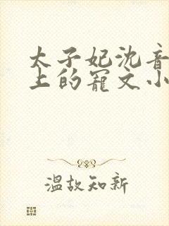 太子妃沈音和皇上的宠文小说