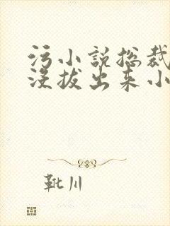 污小说总裁整夜没拔出来小说在线阅读