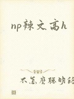 np辣文高h