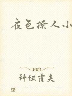 夜色撩人小说