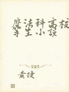 魔法科高校的劣等生小说