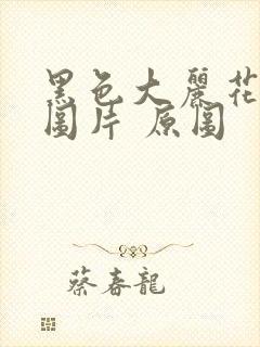 黑色大丽花真实图片 原图