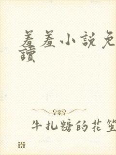 羞羞小说免费阅读