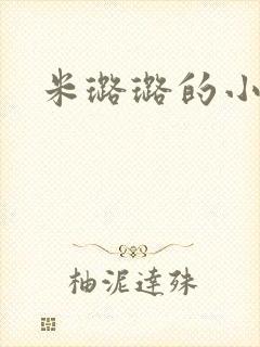 米璐璐的小说