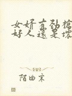 女婿有劲枪枪是好人还是坏人