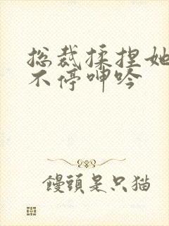 总裁揉捏她两乳不停呻吟