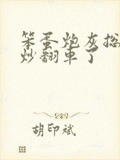 笨蛋炮灰总被爆炒翻车了