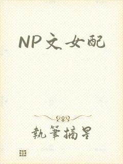 NP文女配