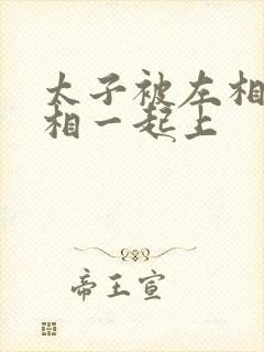 太子被左相和右相一起上