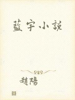 蓝宇小说