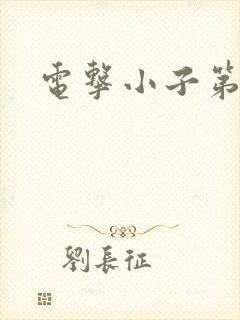 电击小子第二部