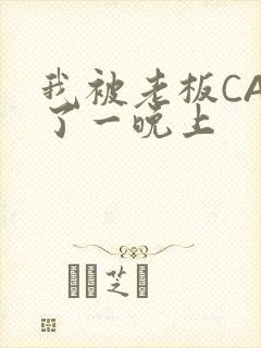 我被老板CAO了一晚上