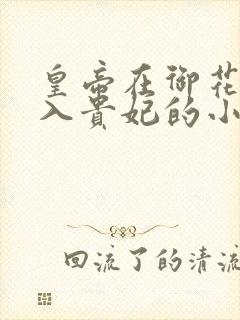 皇帝在御花园进入贵妃的小说