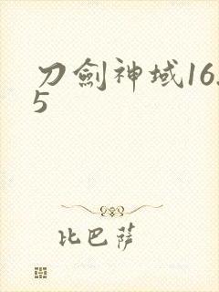 刀剑神域16.5