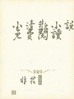 小清欢小说全文免费阅读