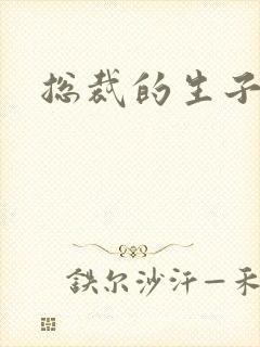 总裁的生子情人