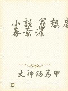 小说 翁想房中春意浓