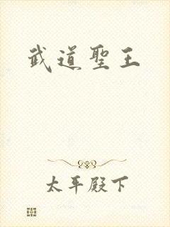 武道圣王