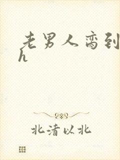 老男人脔到她哭h