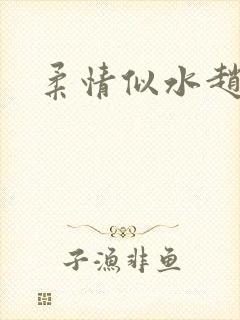 柔情似水赵雅儿