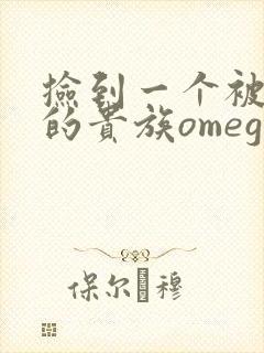 捡到一个被抹布的贵族omega