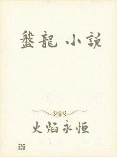 盘龙 小说